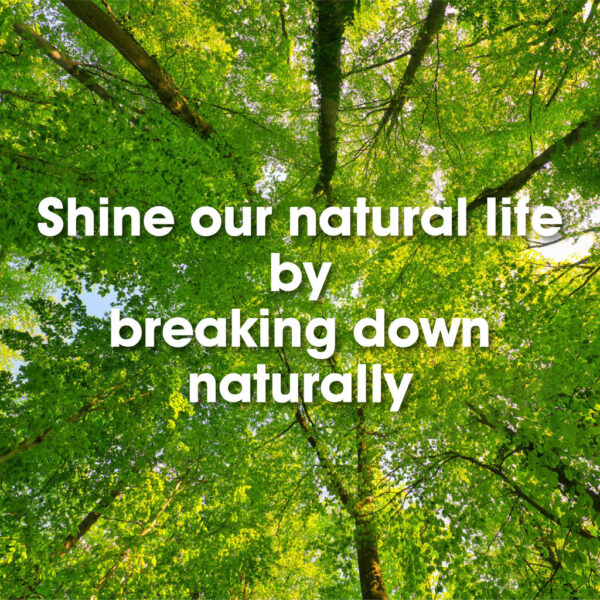 Lifeshine【310g】2ply Recycled Jumbo Toilet Roll Tissue - Image 7