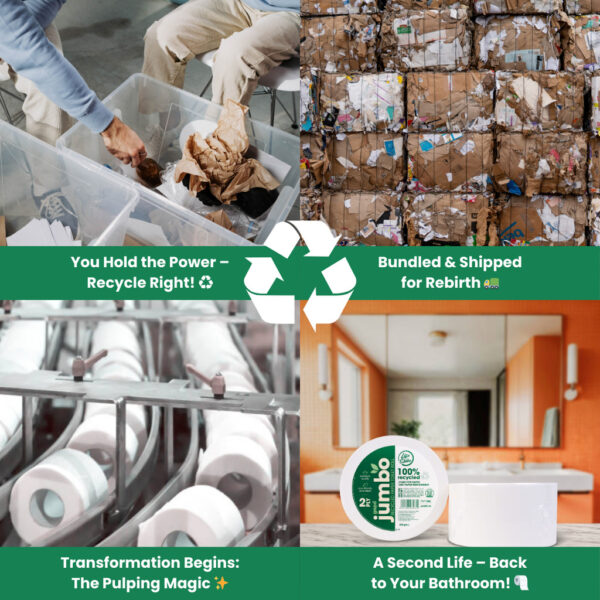 Lifeshine【310g】2ply Recycled Jumbo Toilet Roll Tissue - Image 8